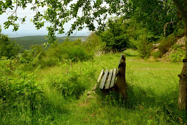 袁心玥因伤退出全运会，重回故乡并引发关注，其拦网和进攻能力被认可，但伤病困扰，中国女排需她保障进攻。
